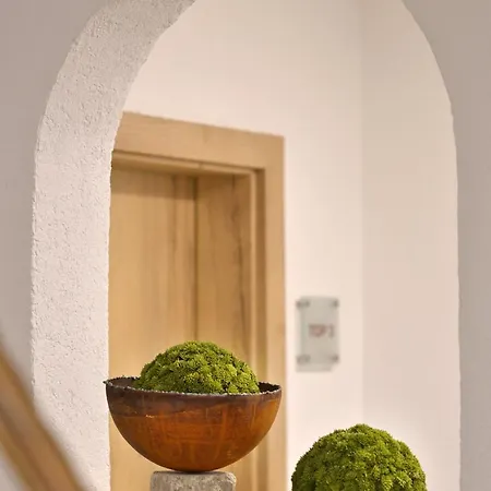 Birkenhof Zell am Ziller